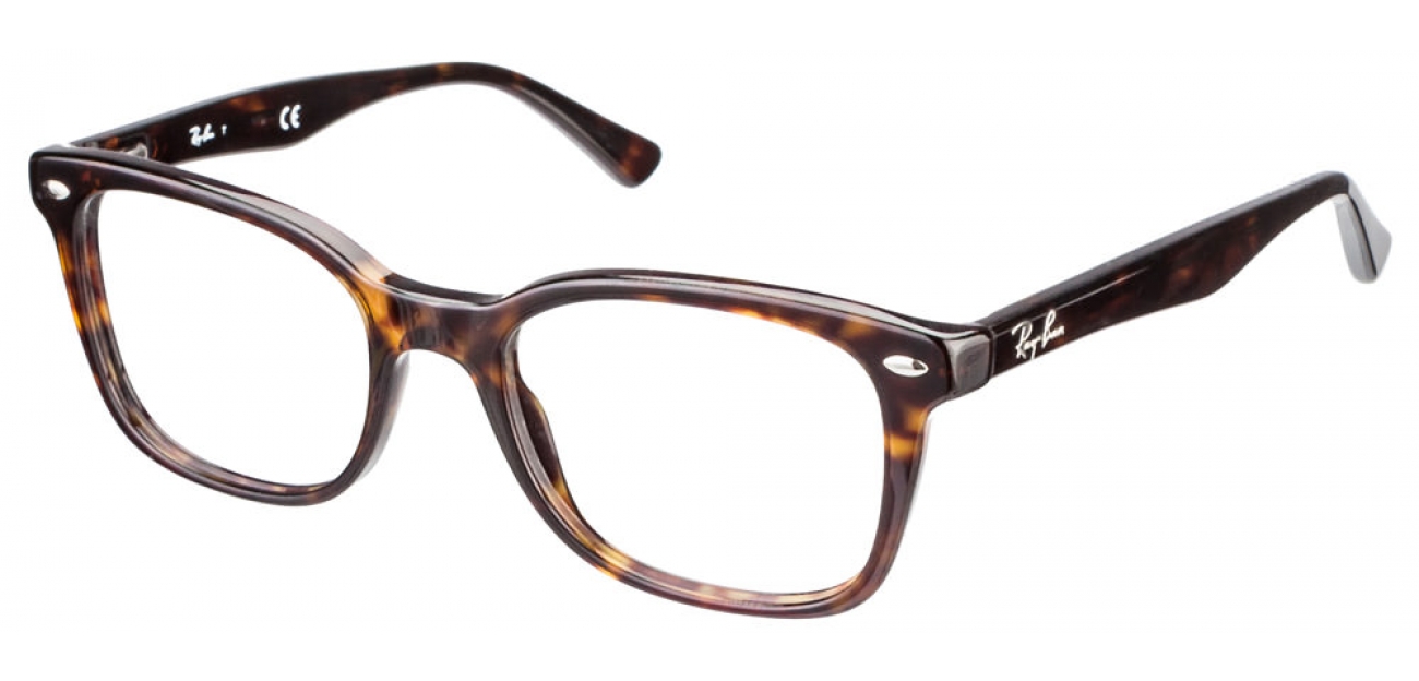 ray ban catalogue 2013 pdf