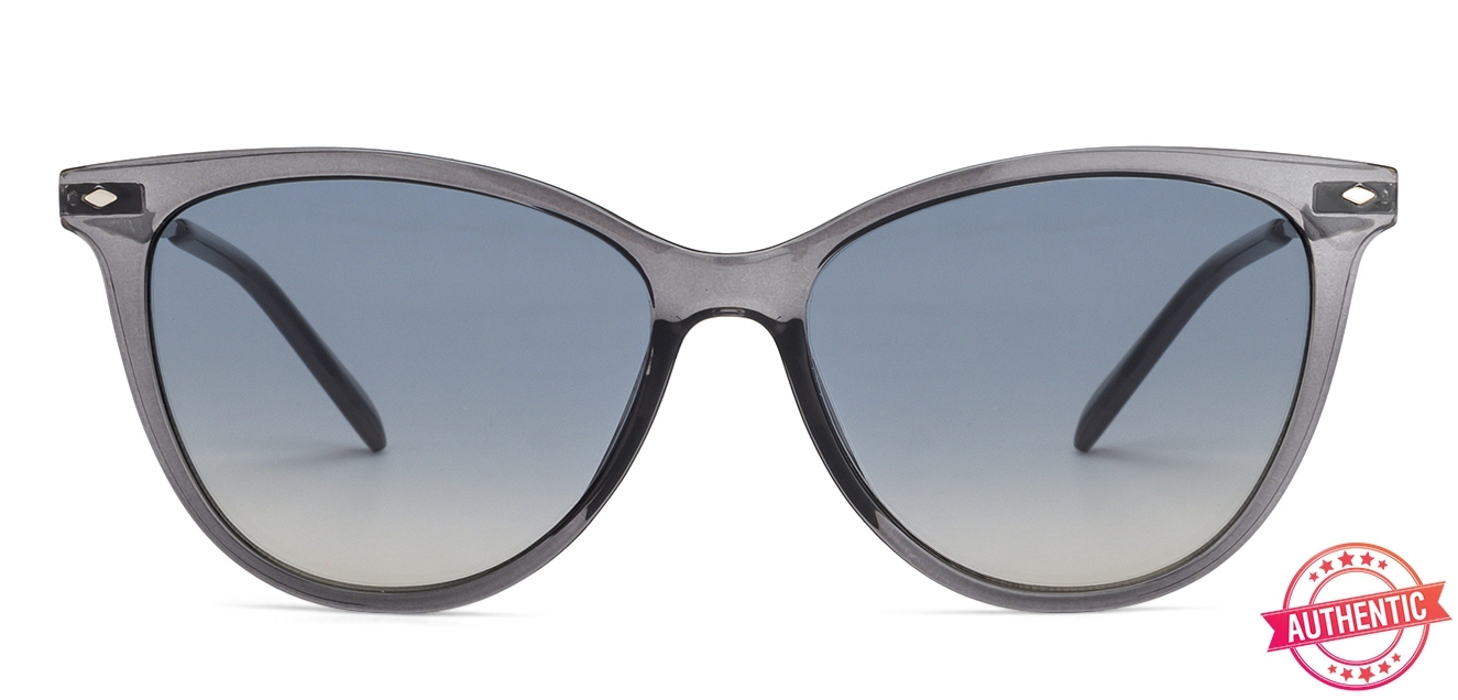 fossil glasses