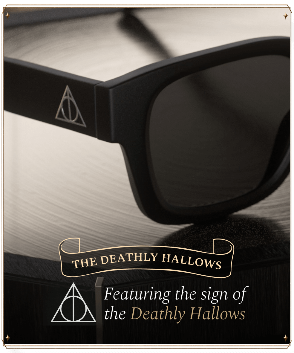 Harry Potter Black Wayfrer