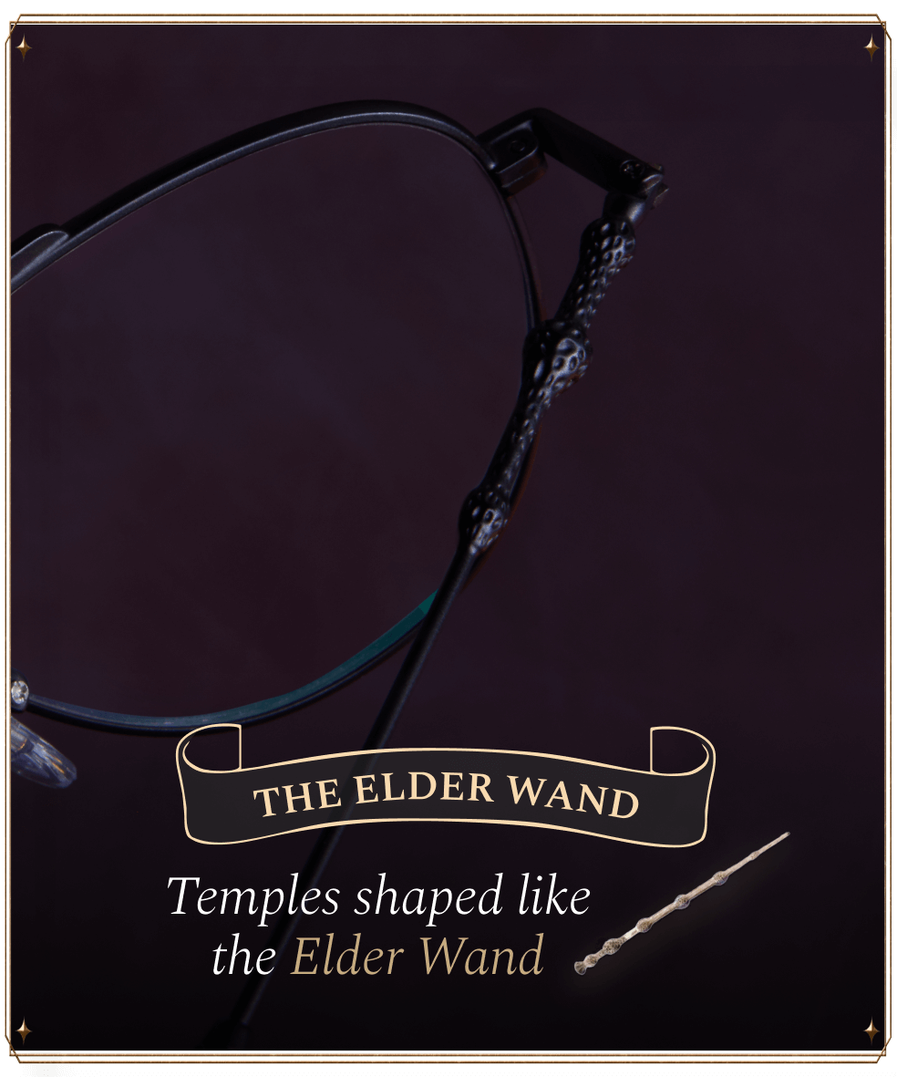Harry Potter Black Avaitor