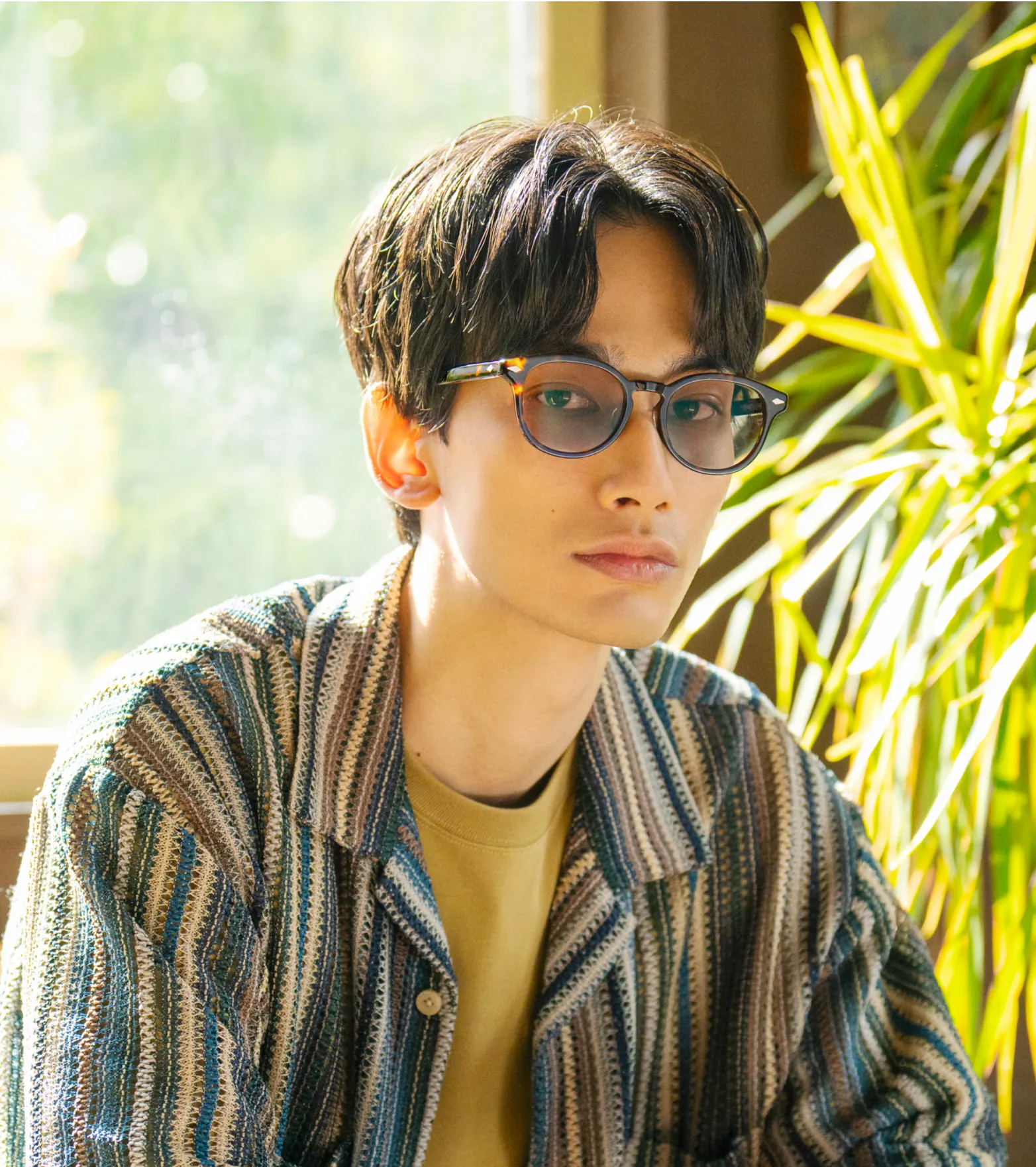 photochromic sunglasses plastic frame